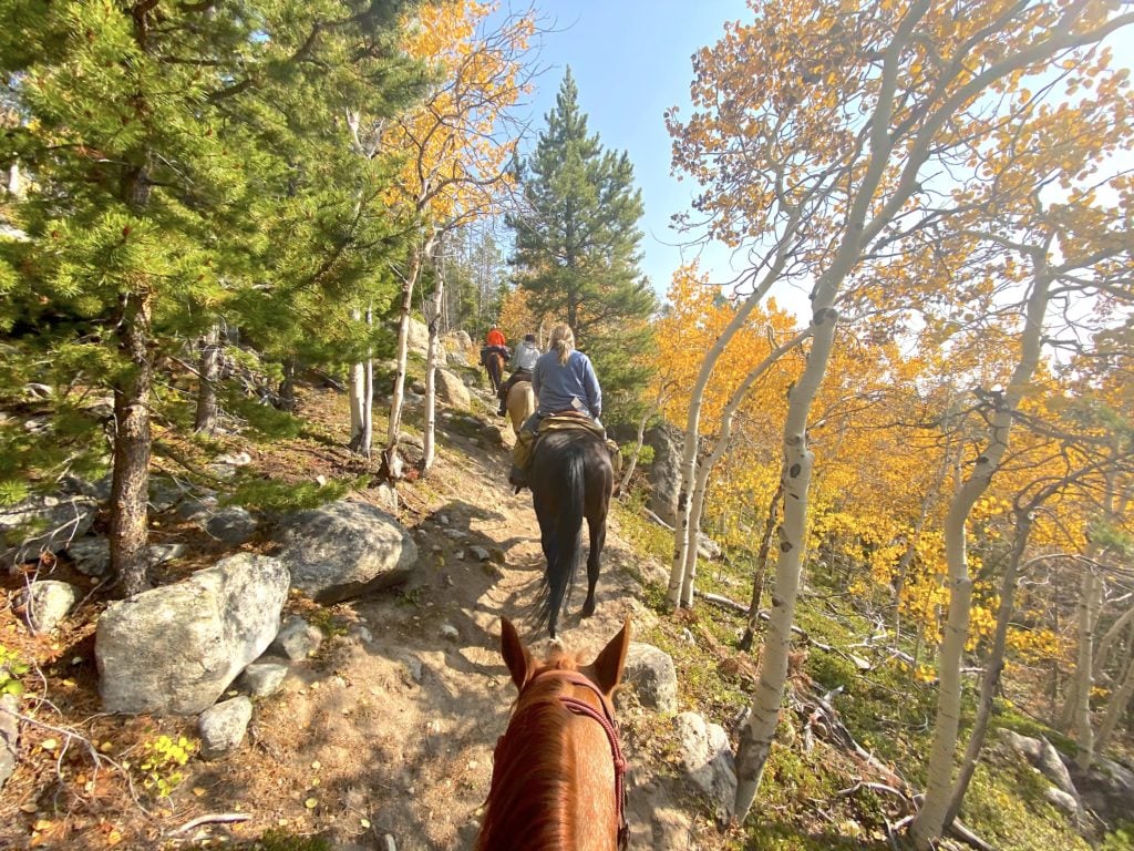 Dude Ranch Vacations