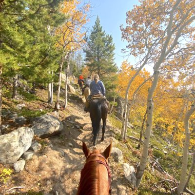 Horseback Riding, Dude & Guest Ranches