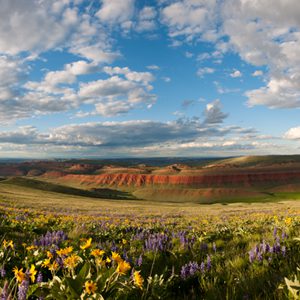 Red Canyon. Photo: Scott Copeland