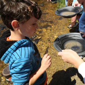 Panning for Gold in Willow Creek