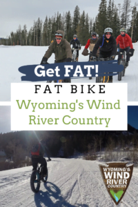 Fat Bike Wyoming pin