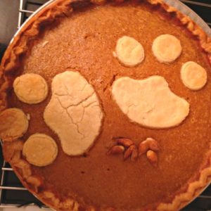 Pumpkin Pie: From farm to foil plate