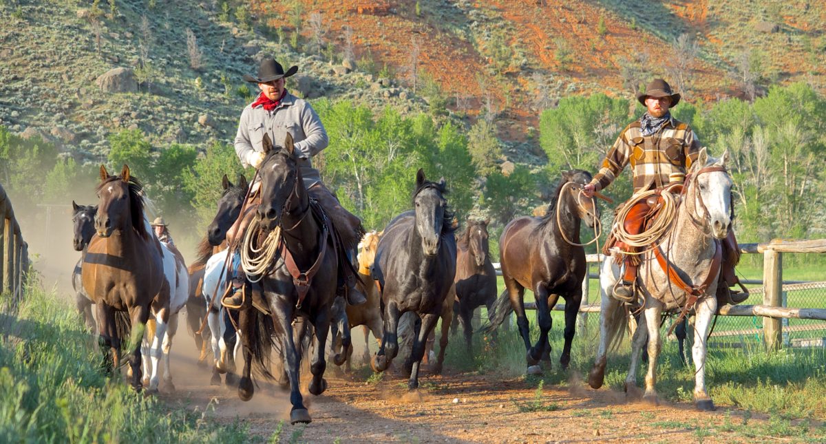 Wind River Country Wyoming - Wind River Country