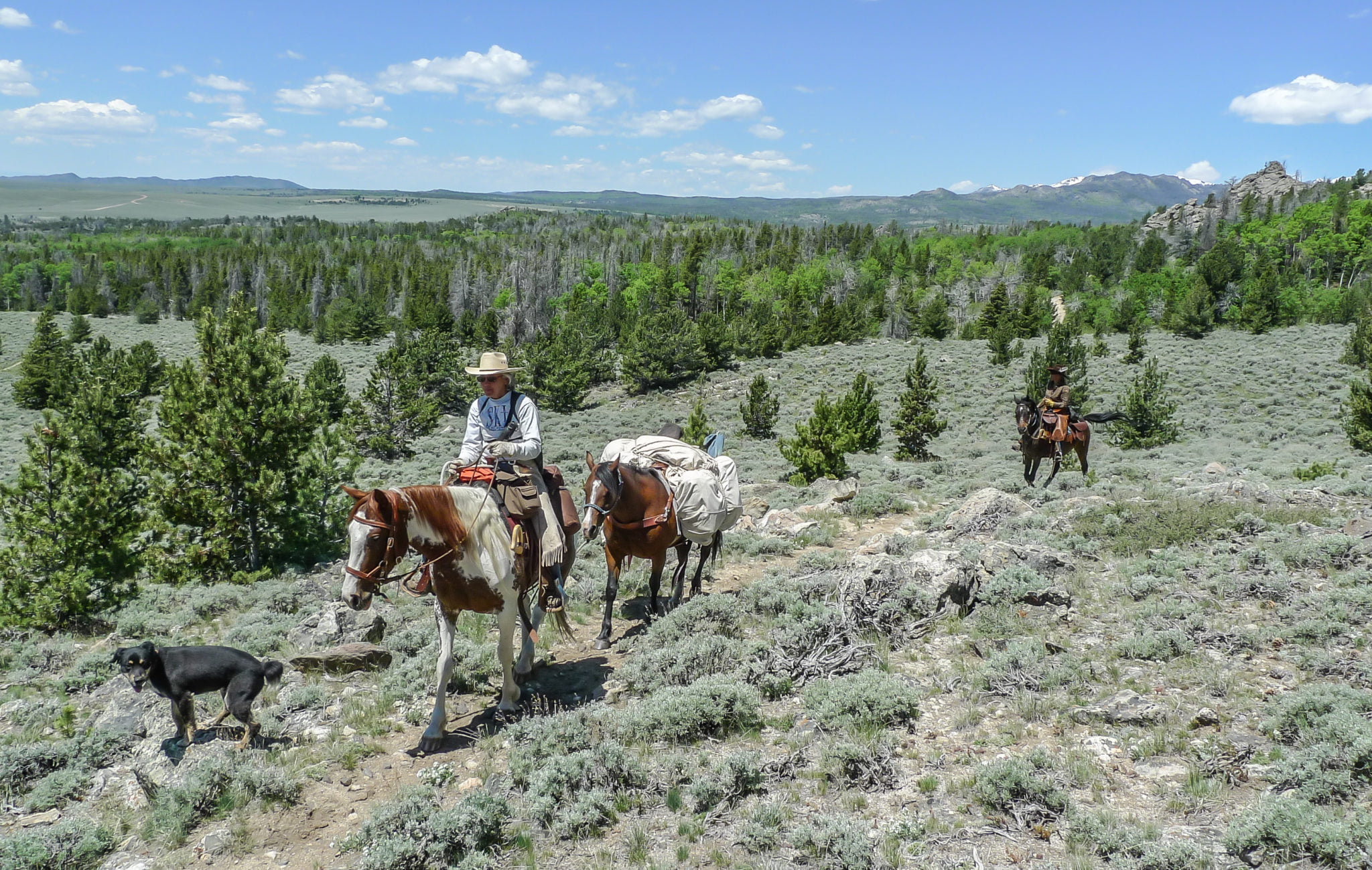 A group of riders on horseback traverse a rugged, mountainous landscape with a dog following closely behind them in Wind River Country.