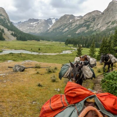 Pack Trips, Outfitters & Guides