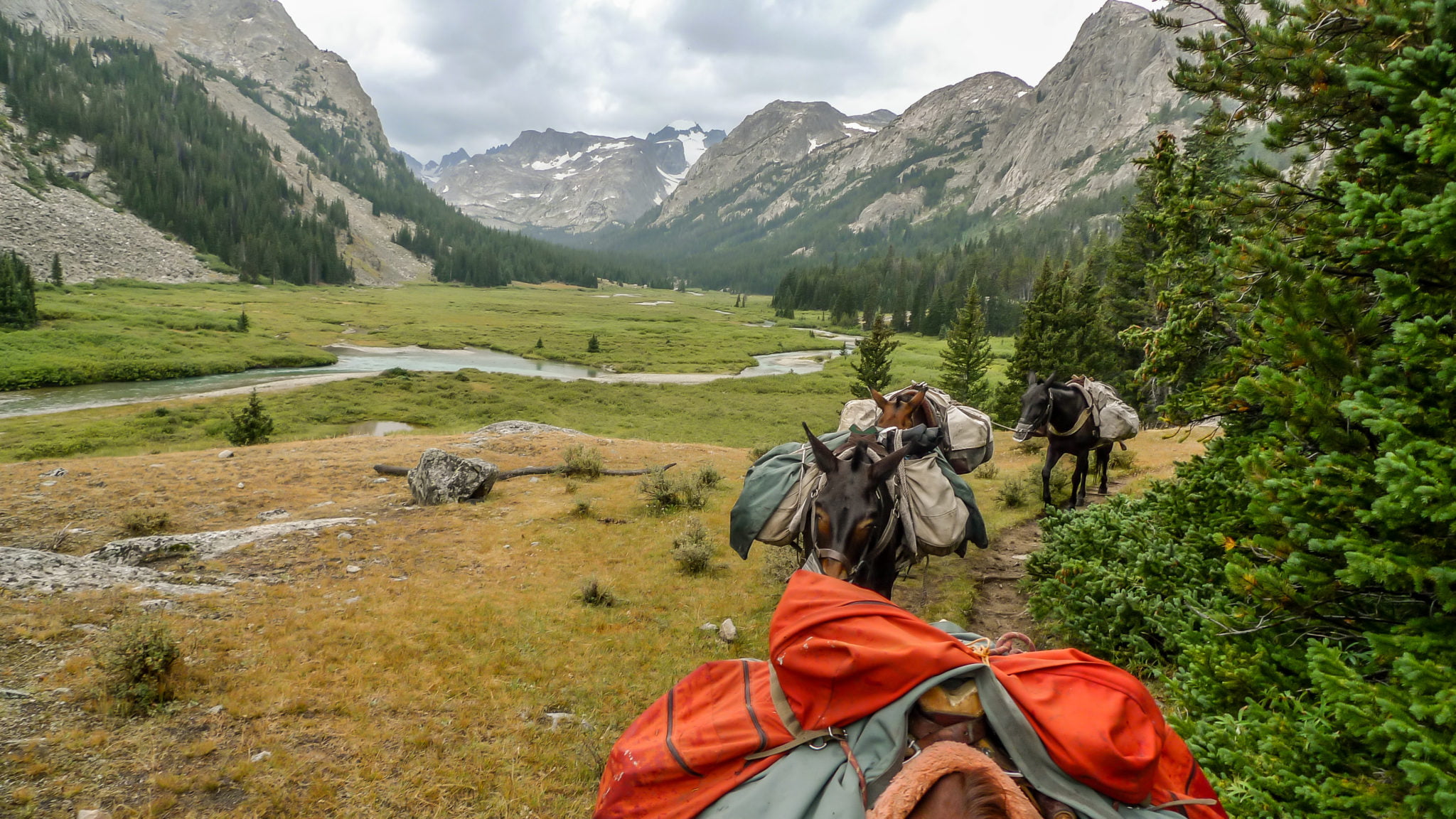 Pack Trips, Outfitters & Guides - Wind River Country