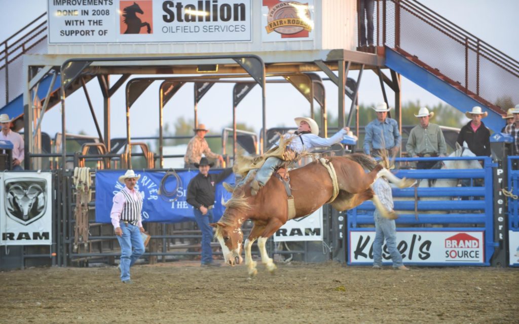 A cowboy in a white shirt and cowboy hat is riding a bucking bronco at a rodeo, with spectators watching from the stands in Wind River Country.