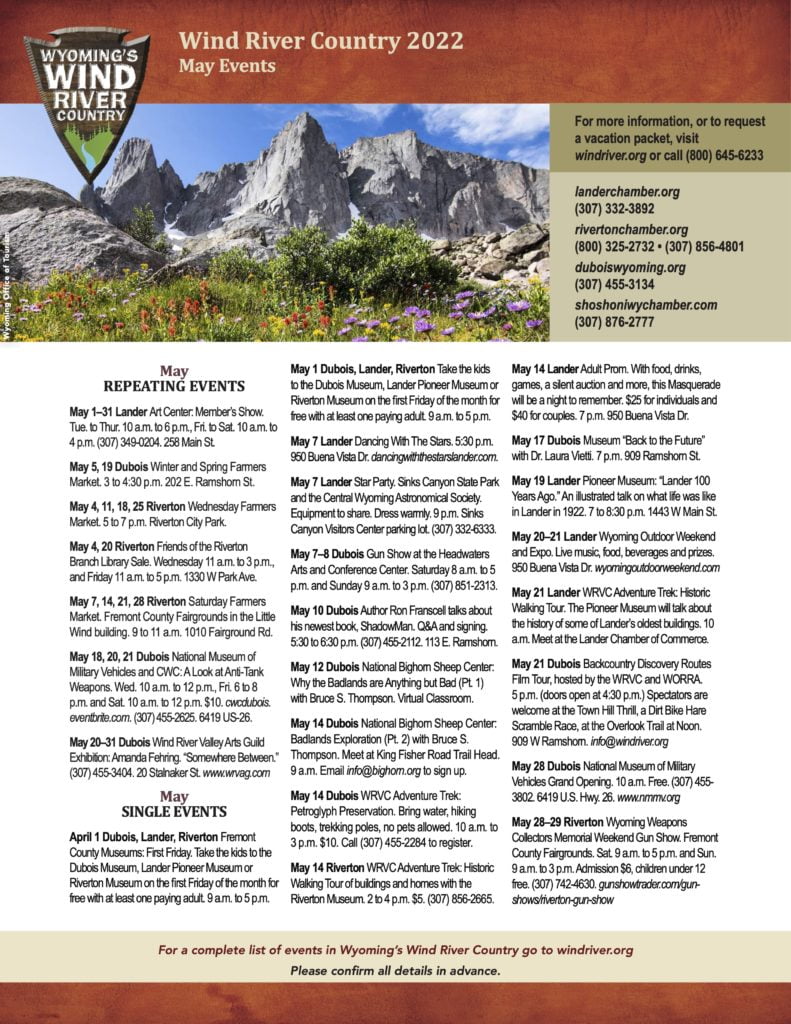 A scenic view of rugged mountain peaks with a clear blue sky and vibrant wildflowers in the foreground in Wind River Country.
