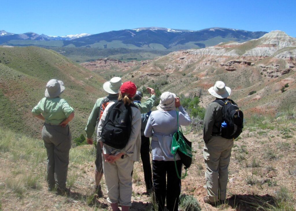 A group of hikers in wide-brimmed hats and backpacks stand on a grassy ridge, gazing at the vast canyon landscape below, with distant snow-capped mountains on the horizon in Wind River Country.