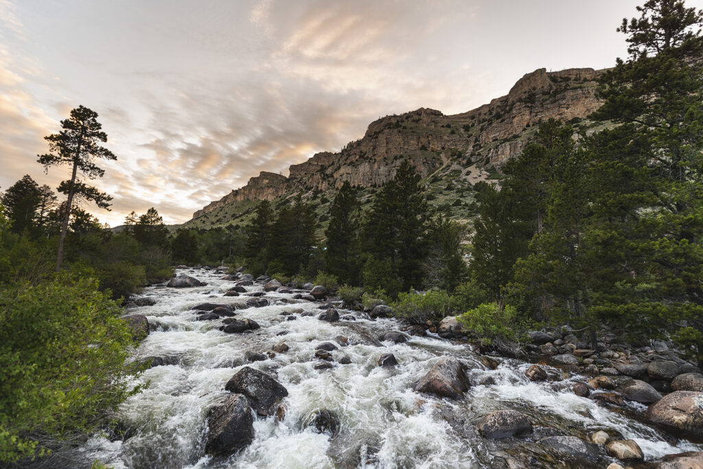 A rushing mountain stream flows through a forested valley with towering cliffs in the background in Wind River Country.