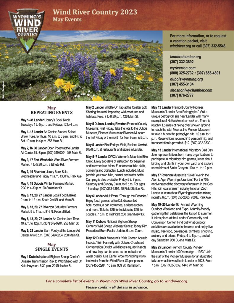 A vibrant field of purple and yellow wildflowers stretches out under a clear blue sky in Wyoming's Wind River Country in Wind River Country.