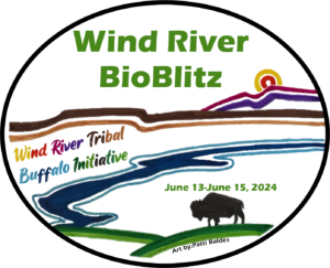 Wind River BioBlitz