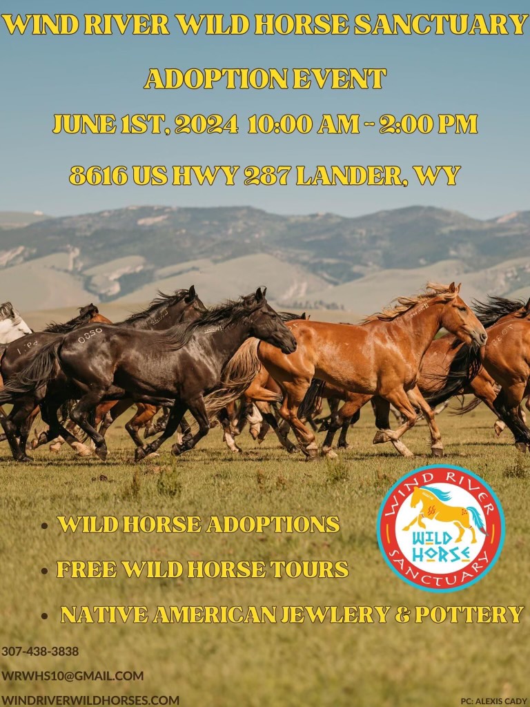 wild horse adoption poster