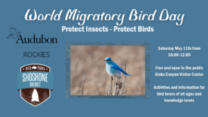 World Migratory Bird Day Event Poster