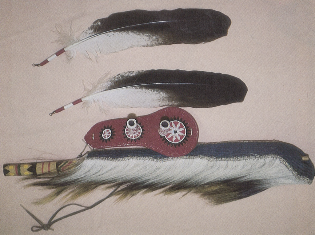 Two eagle feathers