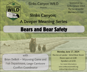 bear safety event poster