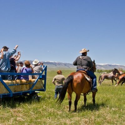 Visitors on a hay wagon tour at the Wind River Wild Horse Sanctuary, one of the most popular things to do on the Wind River Reservation, surrounded by wild horses and scenic views.