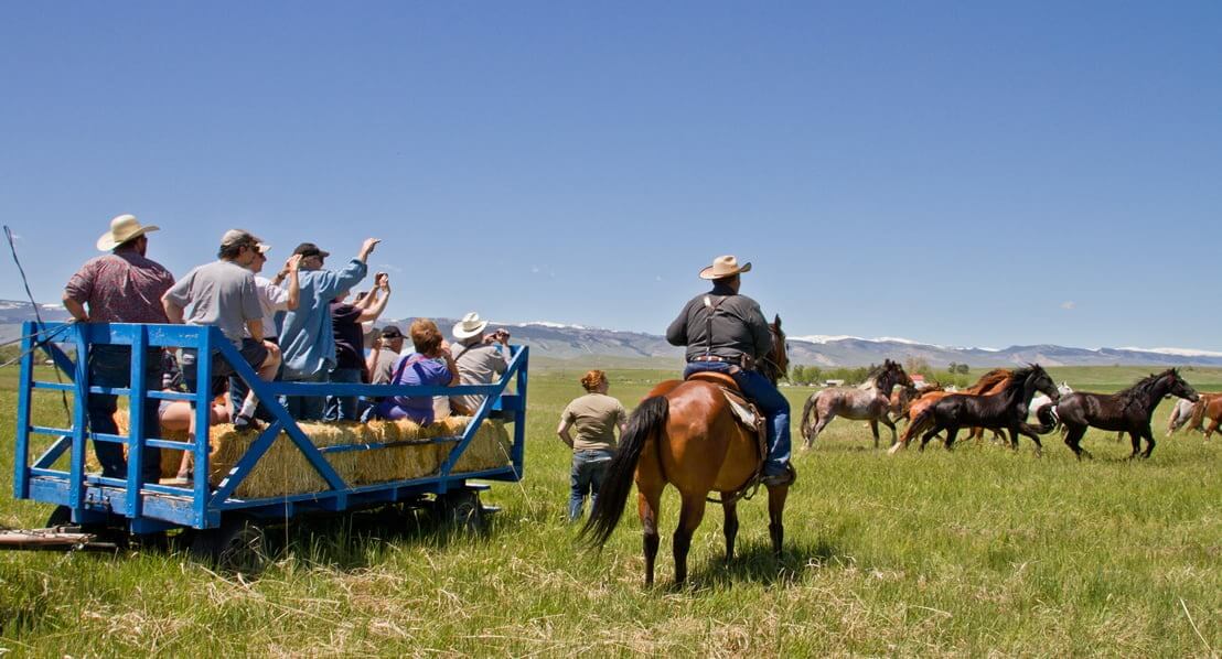 A group of people on a blue wagon filled with hay bales are being pulled by horses through a grassy field, with a herd of horses running alongside them in Wind River Country.