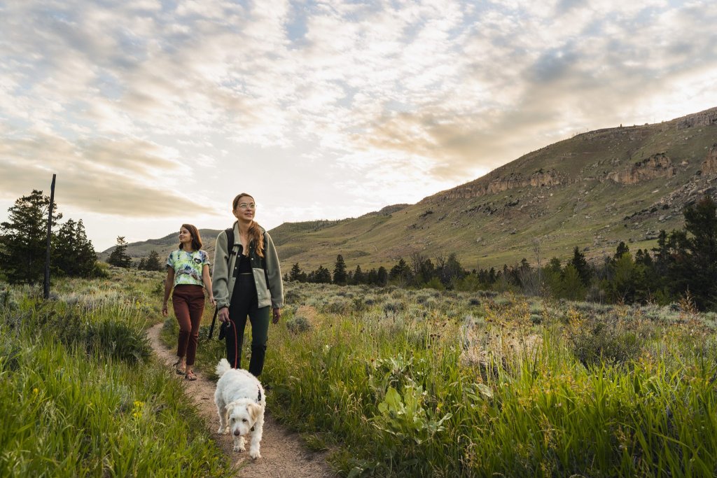 Dog-Friendly Activities in Wind River Country, Wyoming