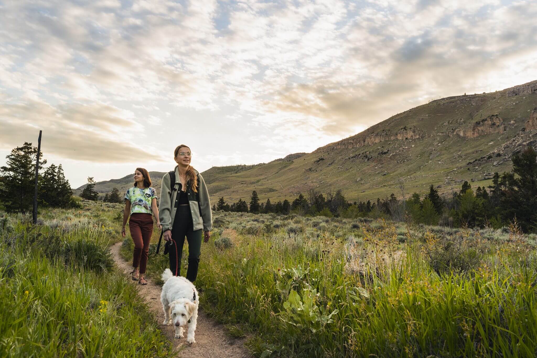Two women and a white dog walk along a dirt path through a grassy meadow with rolling hills and mountains in the background in Wind River Country.