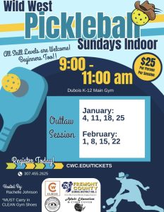 blue lettering on a darker blue background with yellow lettering as a highlight a picture of a blue pickleball paddle on the left side with a yellow pickleball