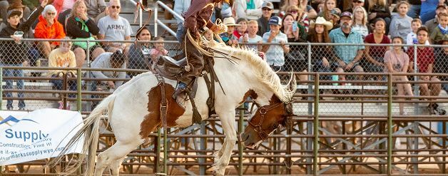 A cowboy on a bucking bronco at a rodeo, with a crowd watching intently in Wind River Country.