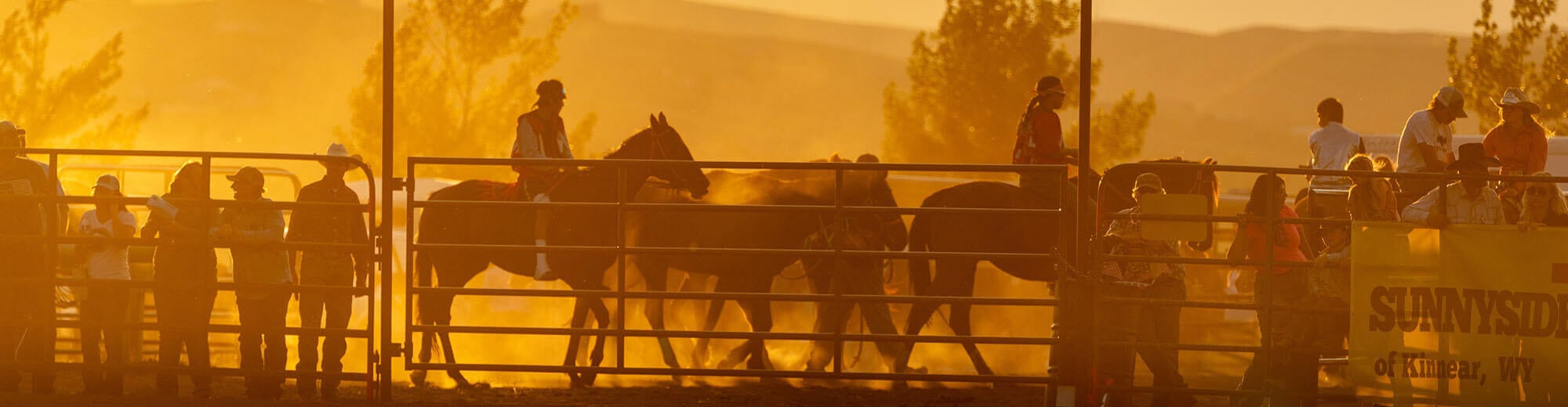 Silhouettes of people and horses in a rodeo arena during sunset, with a golden glow and dust in the air in Wind River Country.