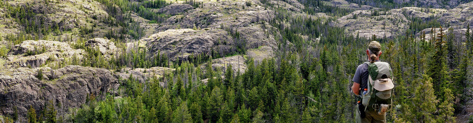 A hiker with a backpack stands on a rocky outcrop, overlooking a vast expanse of dense evergreen forests and rugged mountain terrain in Wind River Country.