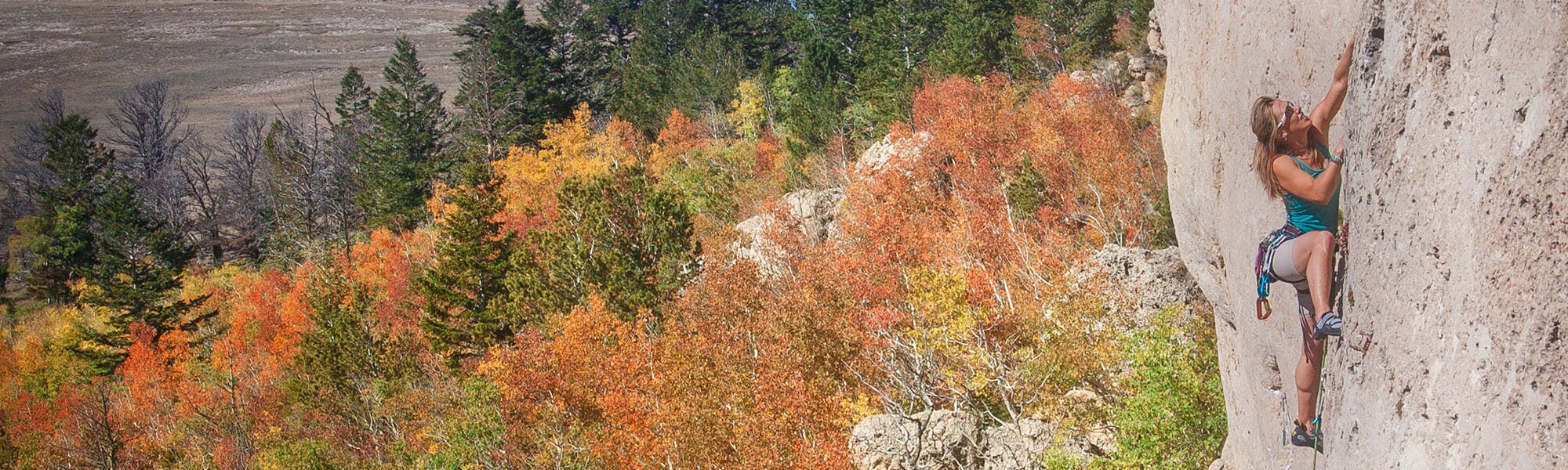 A woman rock climber ascends a steep cliff face, surrounded by a vibrant autumn forest in Wind River Country.