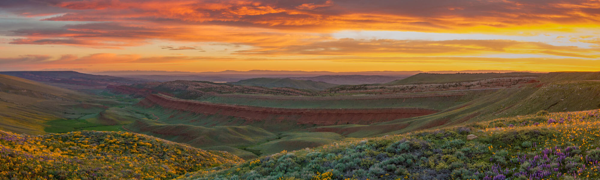 A breathtaking panoramic view of a vast canyon landscape at sunset, showcasing vibrant orange and purple hues in the sky, with rolling hills and a mix of green vegetation and wildflowers in the foreground in Wind River Country.