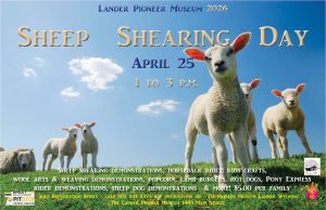 Sheep Shearing Day" Bailey Tire/Pit Stop Children's Exploration Series