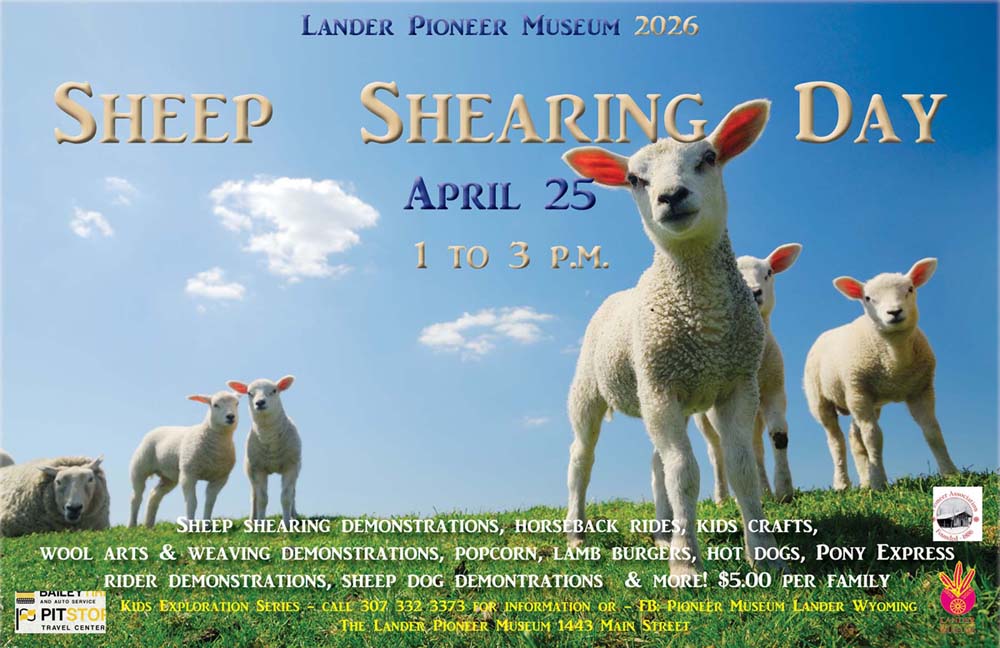 Sheep Shearing Day" Bailey Tire/Pit Stop Children's Exploration Series