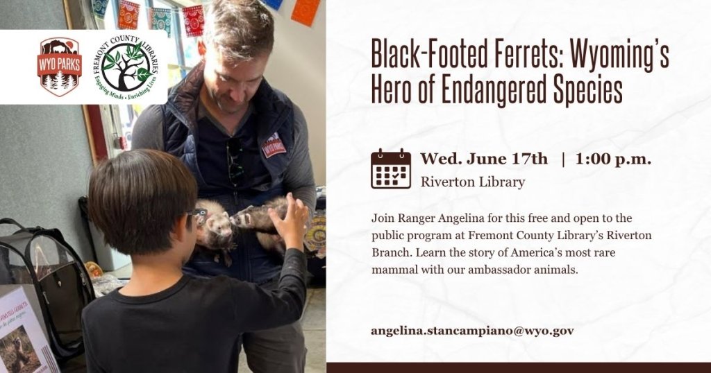 A man and a child interact with a black-footed ferret at a library event in Wind River Country.